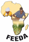 Feeda Logo Transparent